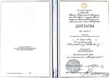 садоведов константин