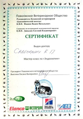 садоведов константин
