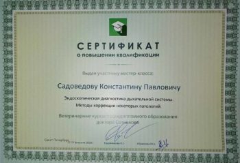 садоведов константин