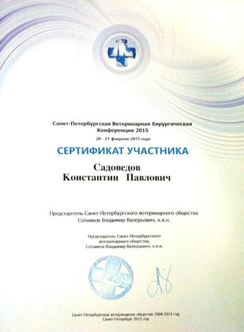 садоведов константин