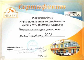 садоведов константин