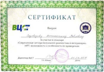 садоведов константин