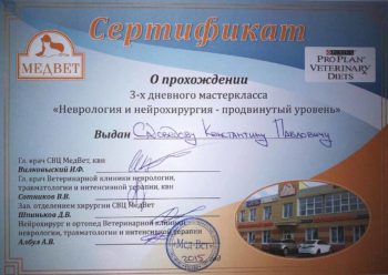 садоведов константин