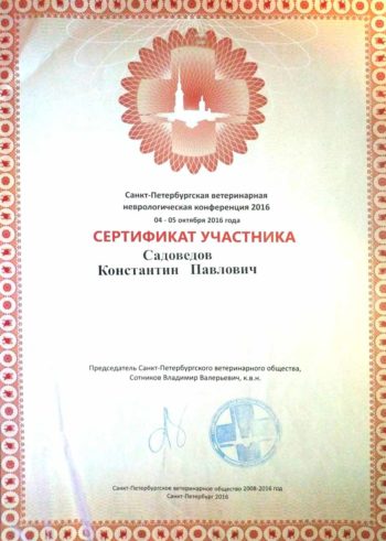 садоведов константин