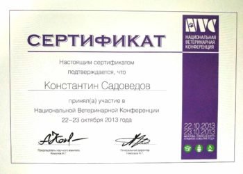 садоведов константин