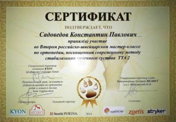 садоведов константин