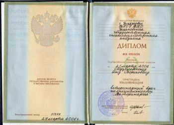 Ветеринар Музалевский Ян Борисович