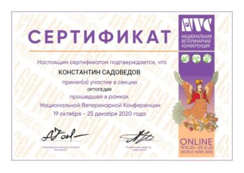 садоведов константин