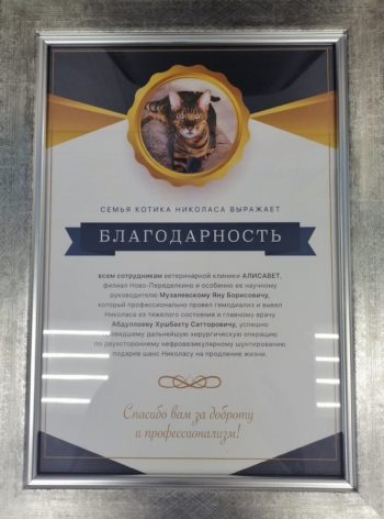 Ветеринар Абдуллоев Хушбахт Сатторович