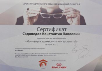 садоведов константин