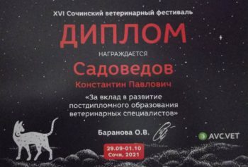 садоведов константин