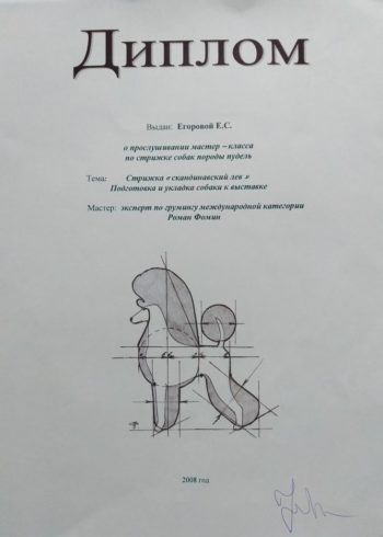 Катерина Егорова Sly Mouse