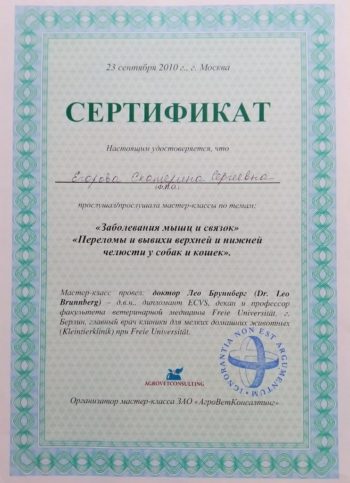 Катерина Егорова Sly Mouse