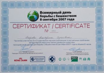 Катерина Егорова Sly Mouse