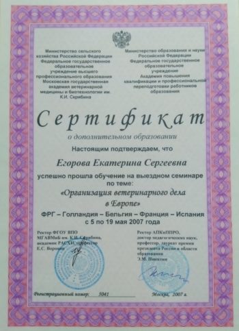 Катерина Егорова Sly Mouse