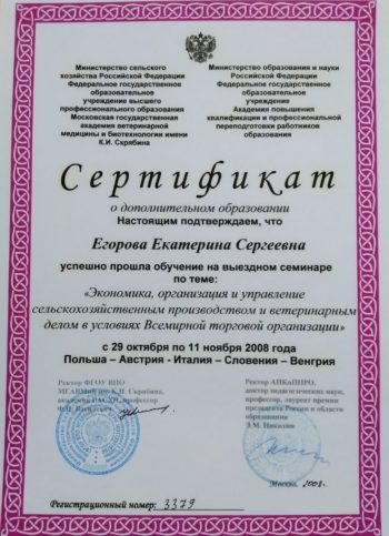 Катерина Егорова Sly Mouse
