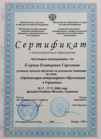 Катерина Егорова Sly Mouse