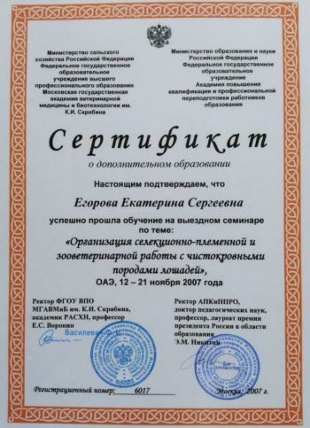 Катерина Егорова Sly Mouse