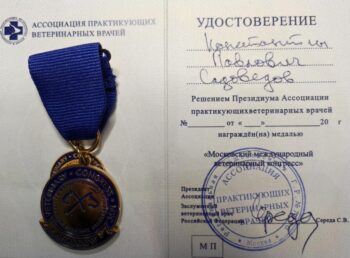 садоведов константин