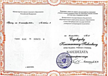 садоведов константин