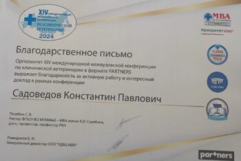 садоведов константин