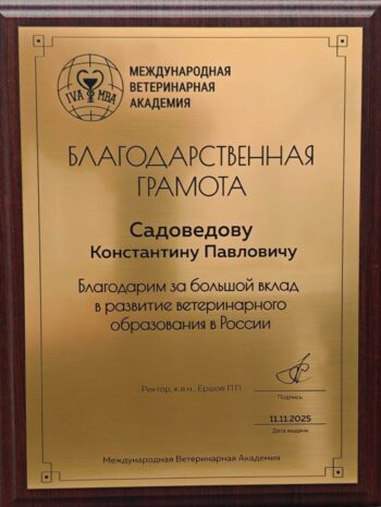 садоведов константин