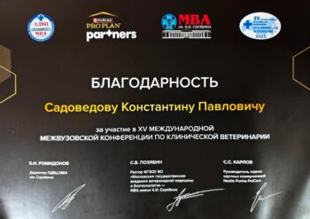 садоведов константин