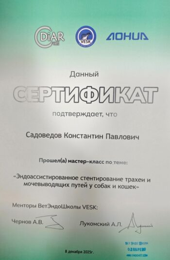 садоведов константин