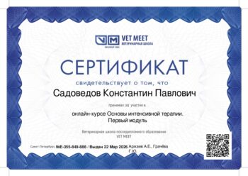 садоведов константин