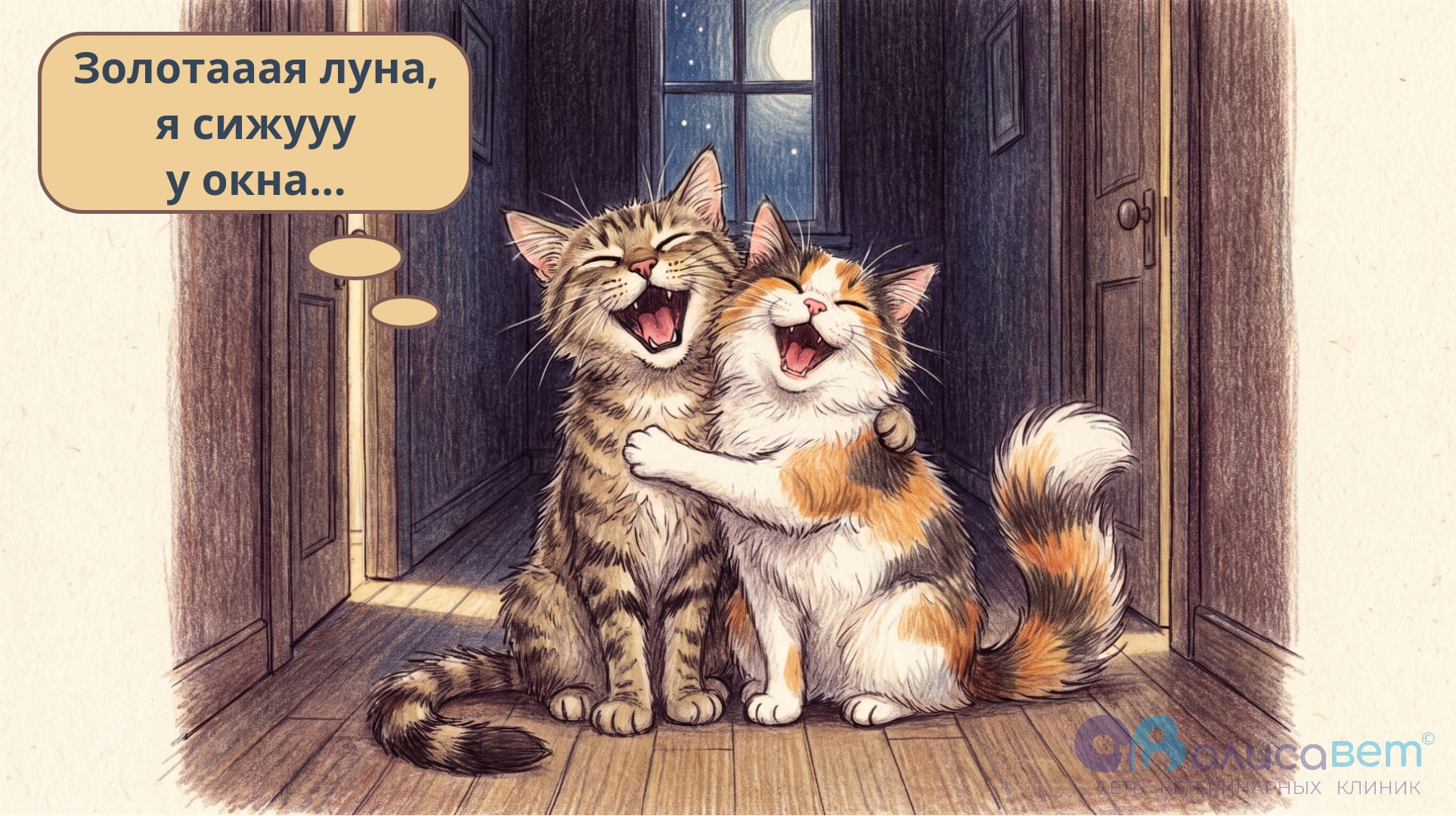 кошка кричит по ночам
