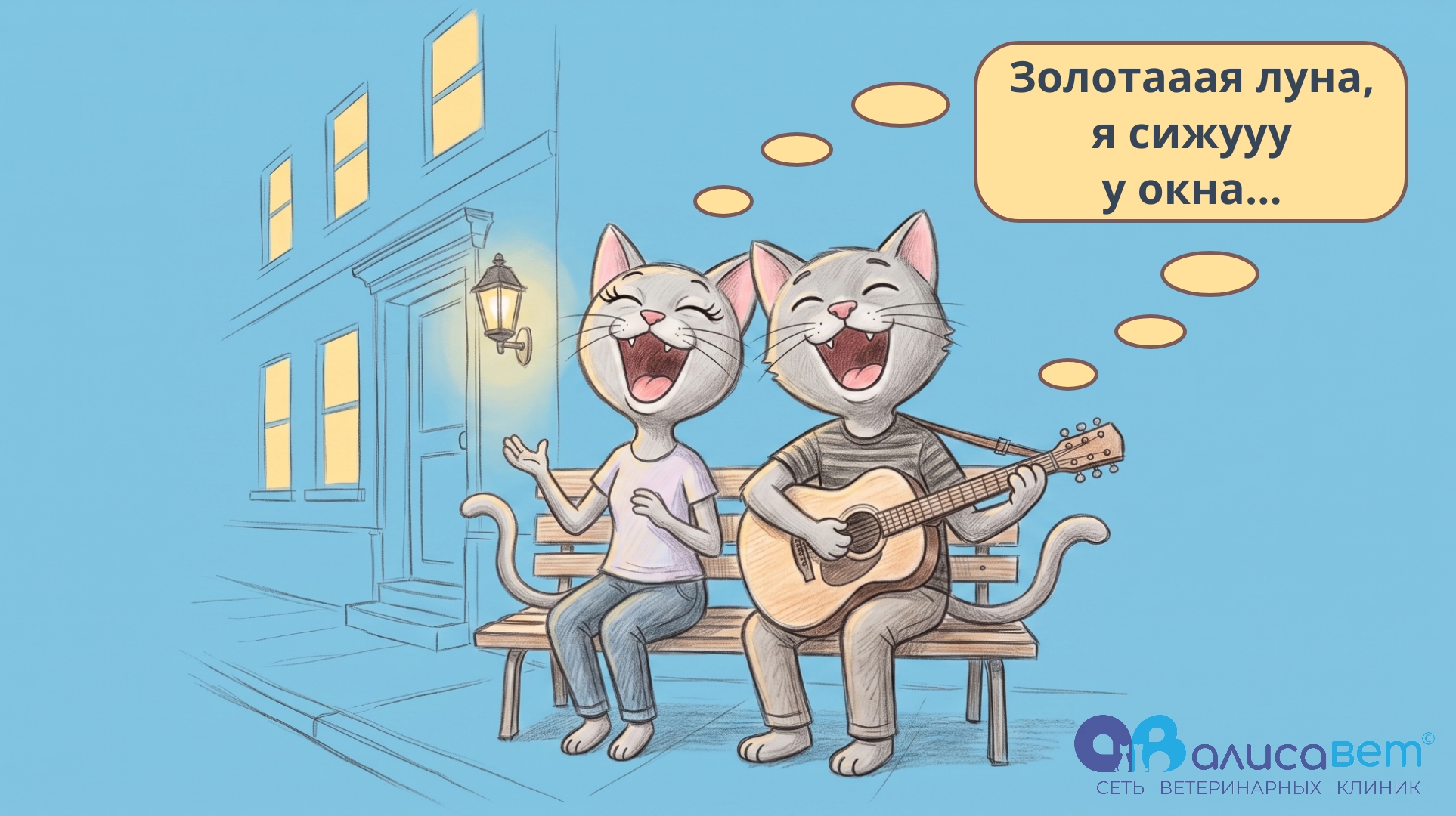 кошка кричит по ночам