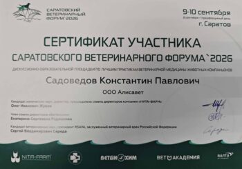 садоведов константин